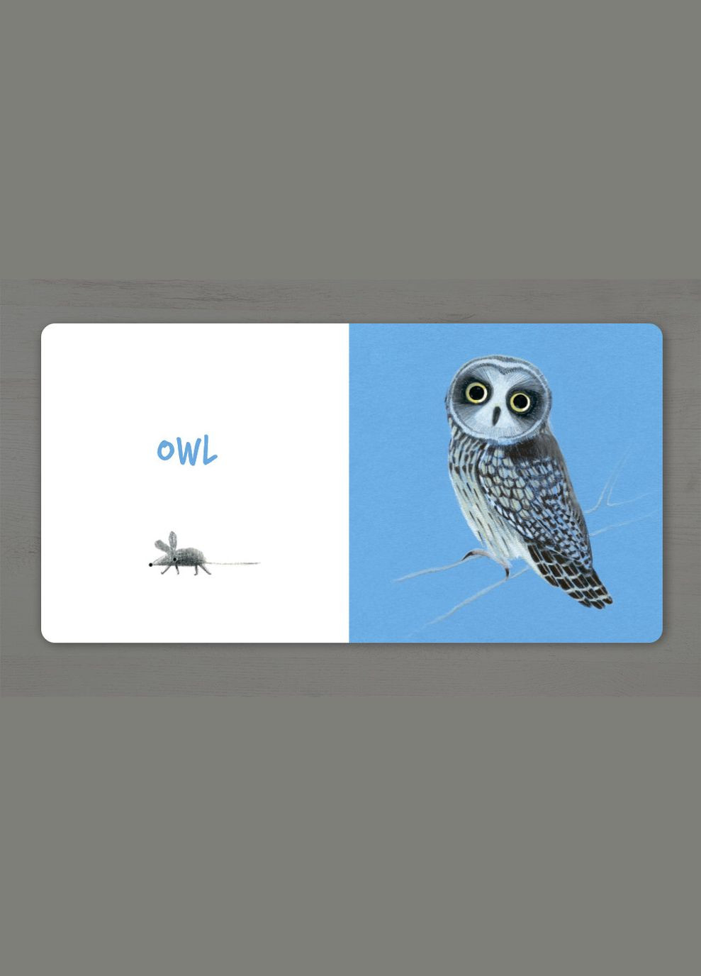 Книга Збери веселку. Collect the rainbow. Birds. Автор - Катерина Таберко ( ) (англ.) Artbooks (338868853)