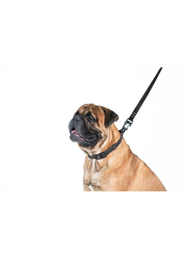 Повідець "Еволютор" (ширина 25 мм, довжина 210 см) чорний Evolutor (326836287)