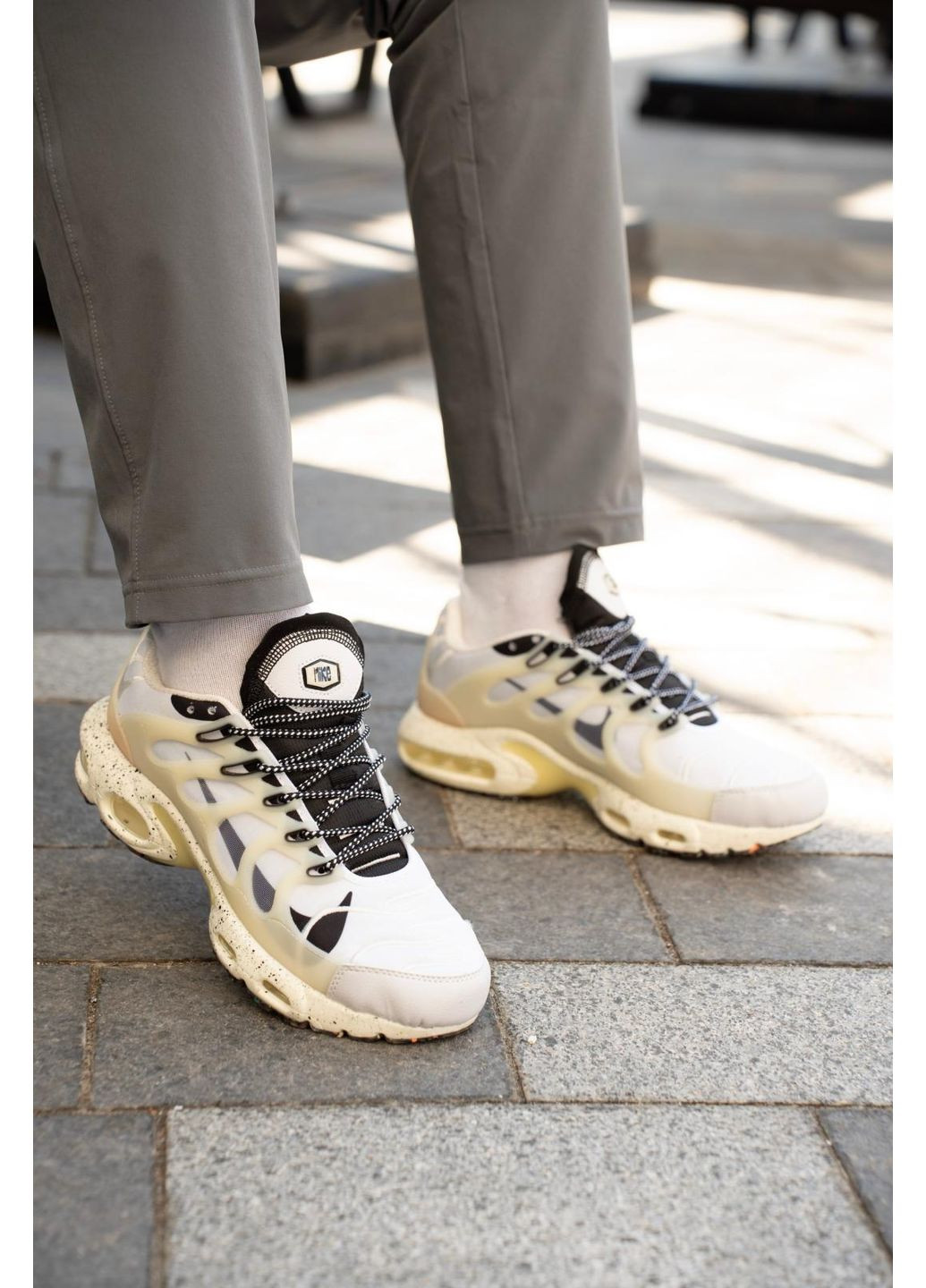 КРОСІВКИ ЖІНОЧІ NIKE AIR MAX TN TERRASCAPE PLUS BEIGE BLACK НАЙК АІР МАКС ТН ПЛЮС No Brand чорні демісезони (367170179)