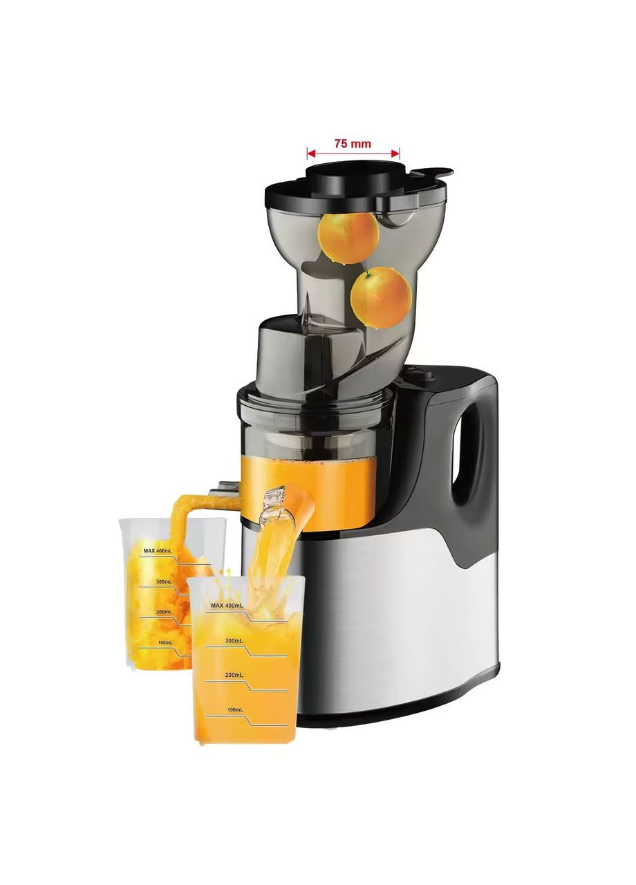 Соковыжималка электрическая шнековая стальная для цитрусовых 150 Вт (R1259) RAF (361029125)