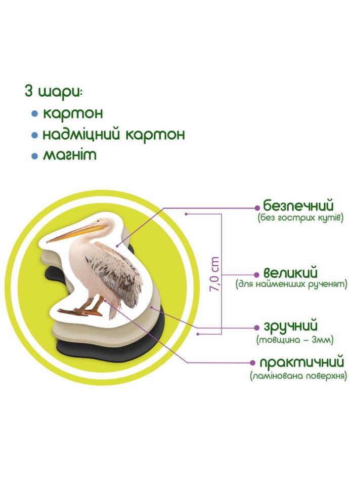 Дитячий набір магнітів Птахи фото ML4031-30 EN MAGDUM (334162463)