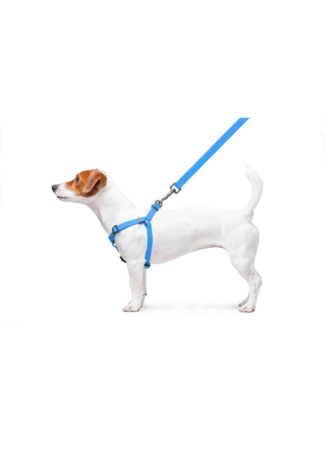 Шлея для собак водостойкая Waterproof c QR-паспортом, металлическая пряжка-фастекс, Ш 15 мм, Дл 40-55 см голубой WAUDOG (321996525)