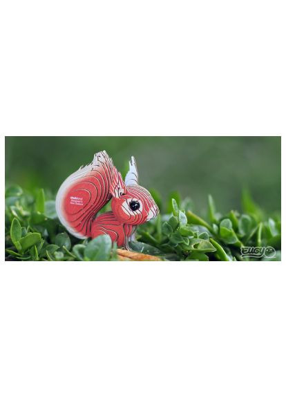 Пазл (XEG-083) Eugy 3D Зоопарк Білка (366070007)