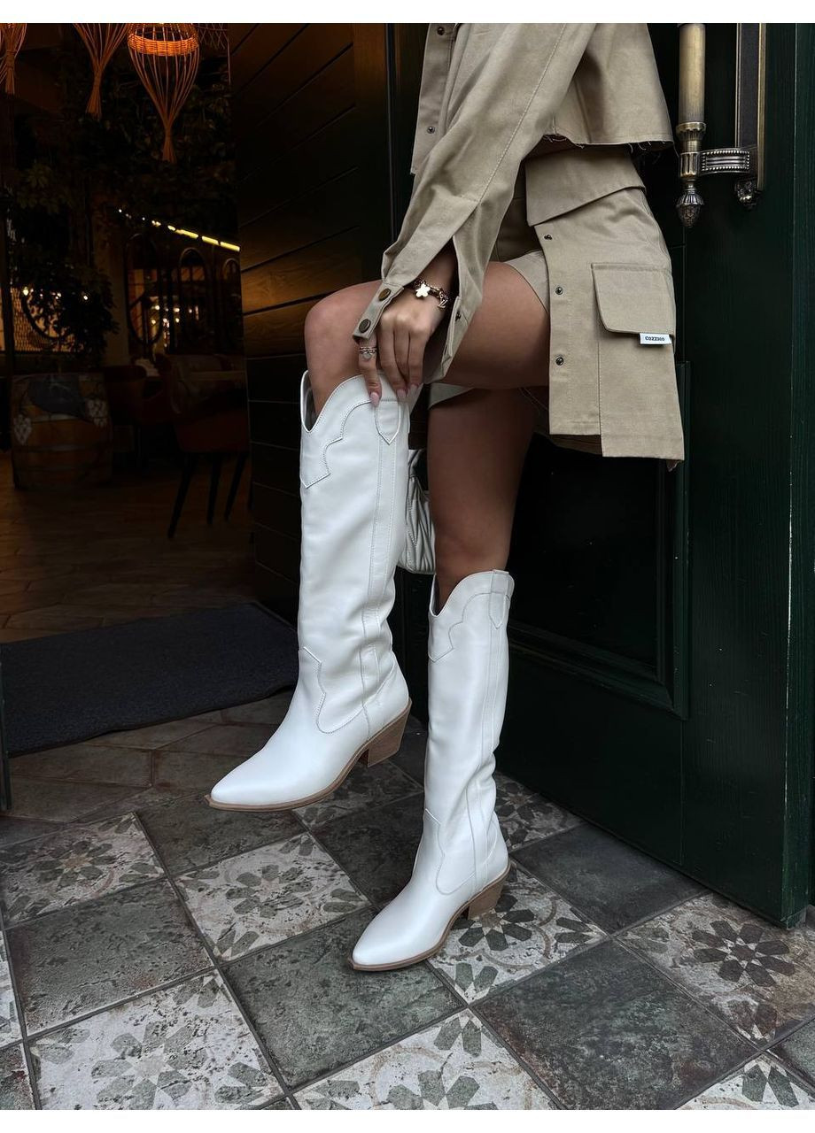 Зимние стильные женские козаки казаки No Brand