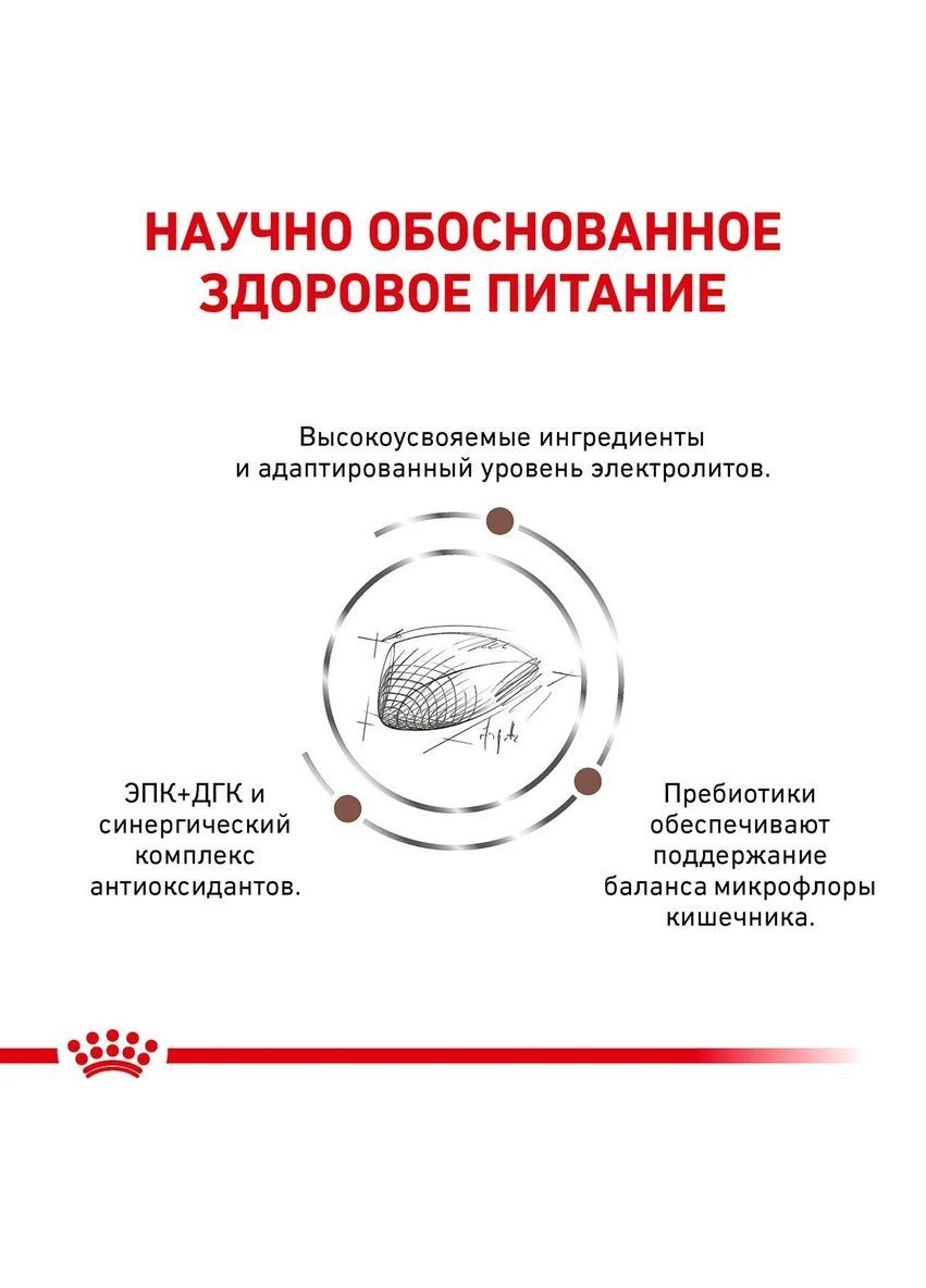 Сухий корм для дорослих котів Gastrointestinal Cat при гострих розладах травлення 400 г Royal Canin (376263880)