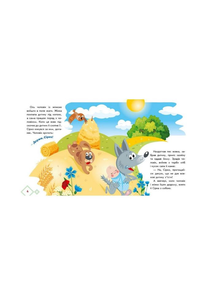 Украинские сказки Сирко 1722001 аудио-бонус No Brand (330017679)