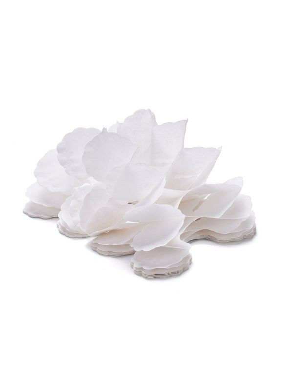 Гірлянда розтяжка паперова 3 м 16 на 11 см білий Jannet Гірлянда (314692807)