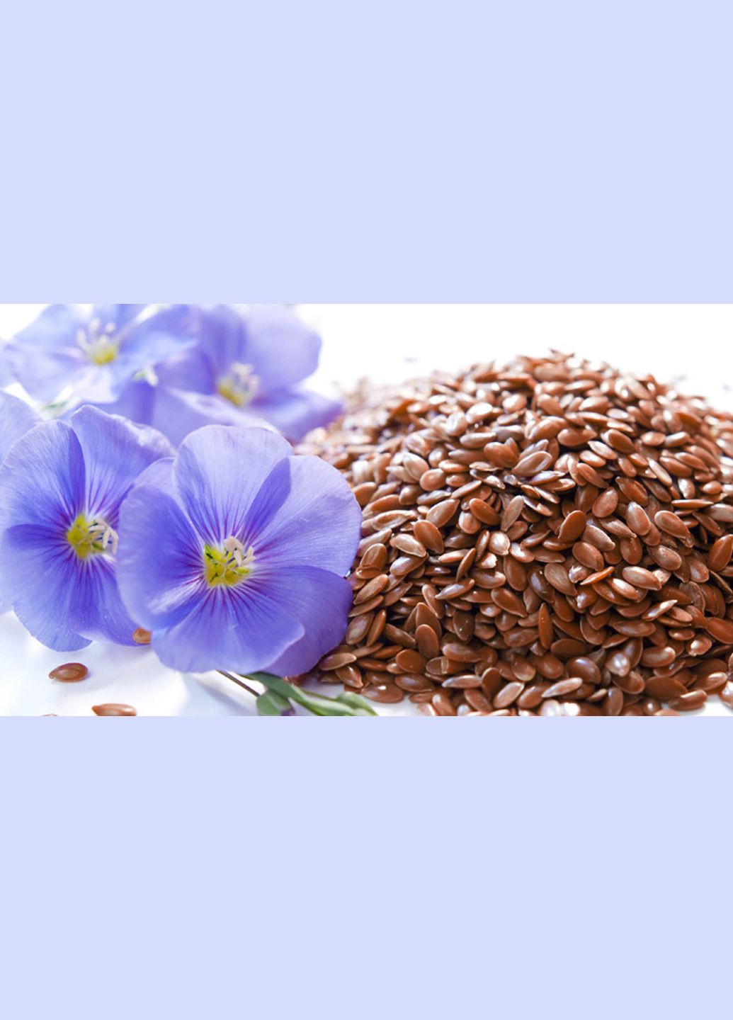 Лена семян коричневого 1 кг Десналенд (326738553)