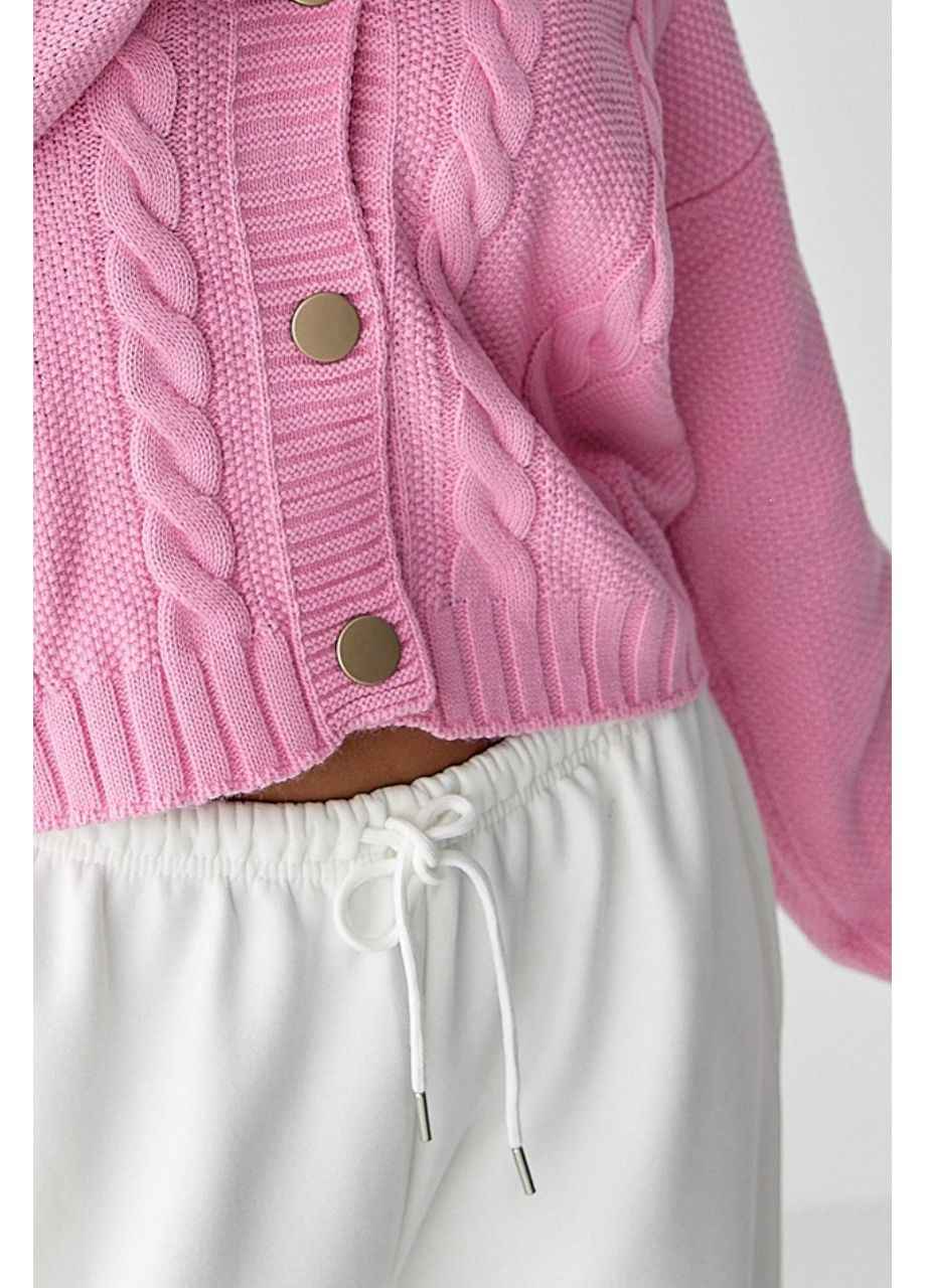 Спортивні штани з плюшевим начісом No Brand (361045301)