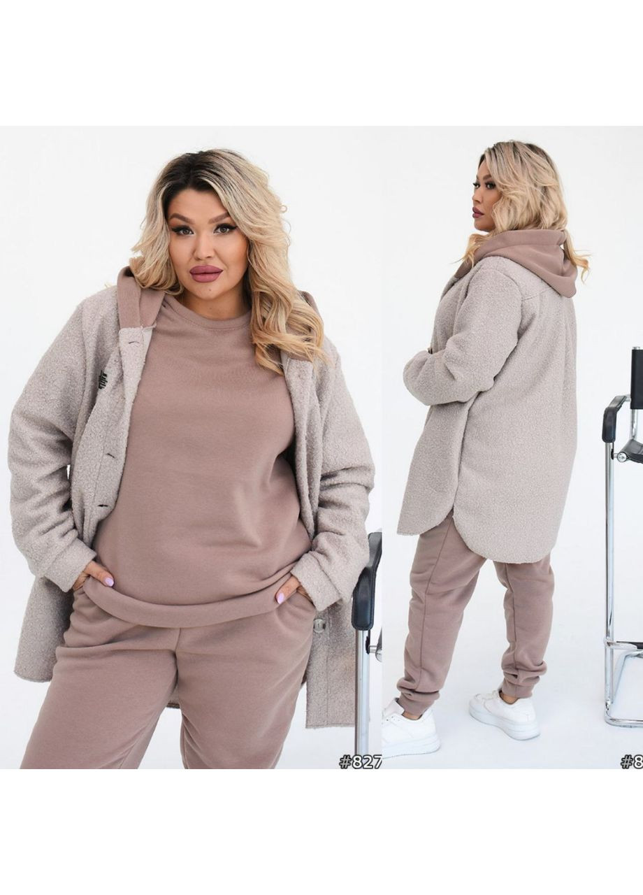 Костюм тройка тринитка на флисе брюки и кофта,барашек-рубашка Україна (361021573)