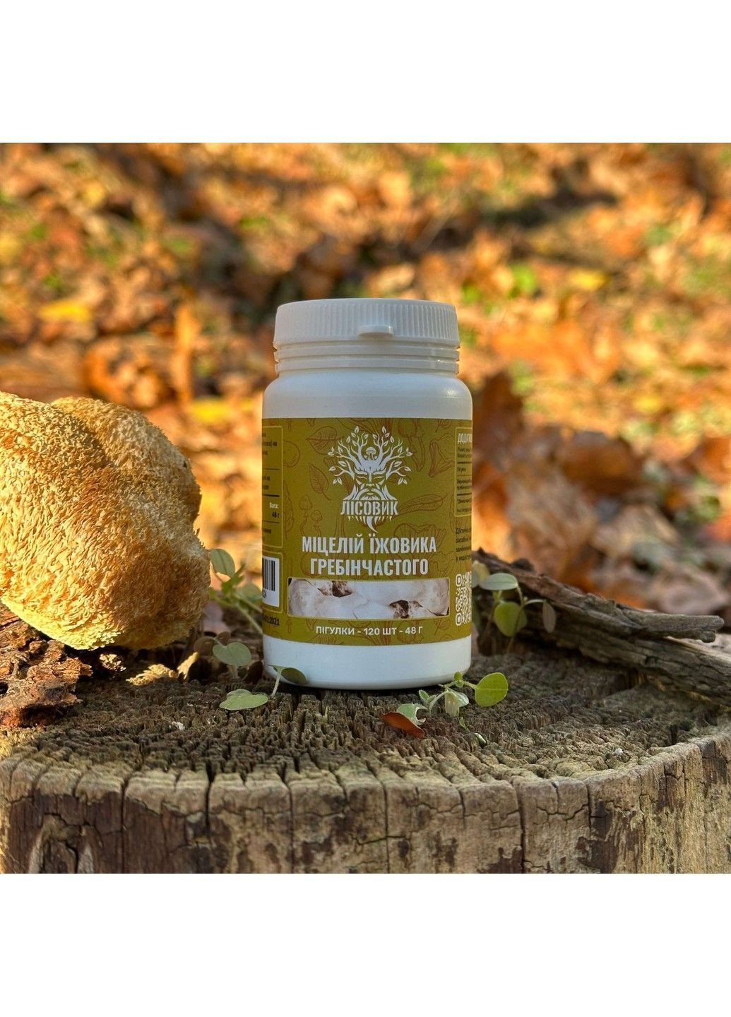 Мицелий ежовика гребенчатого 120 таблеток Лесовик Лісовик (364210631)