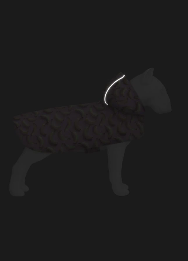 Дощовик WAUDOG (385494825)
