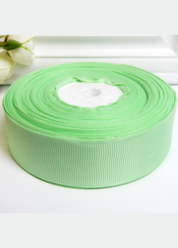 Лента репсовая однотонная, 2,5 см, №80 мятная No Brand (340483899)