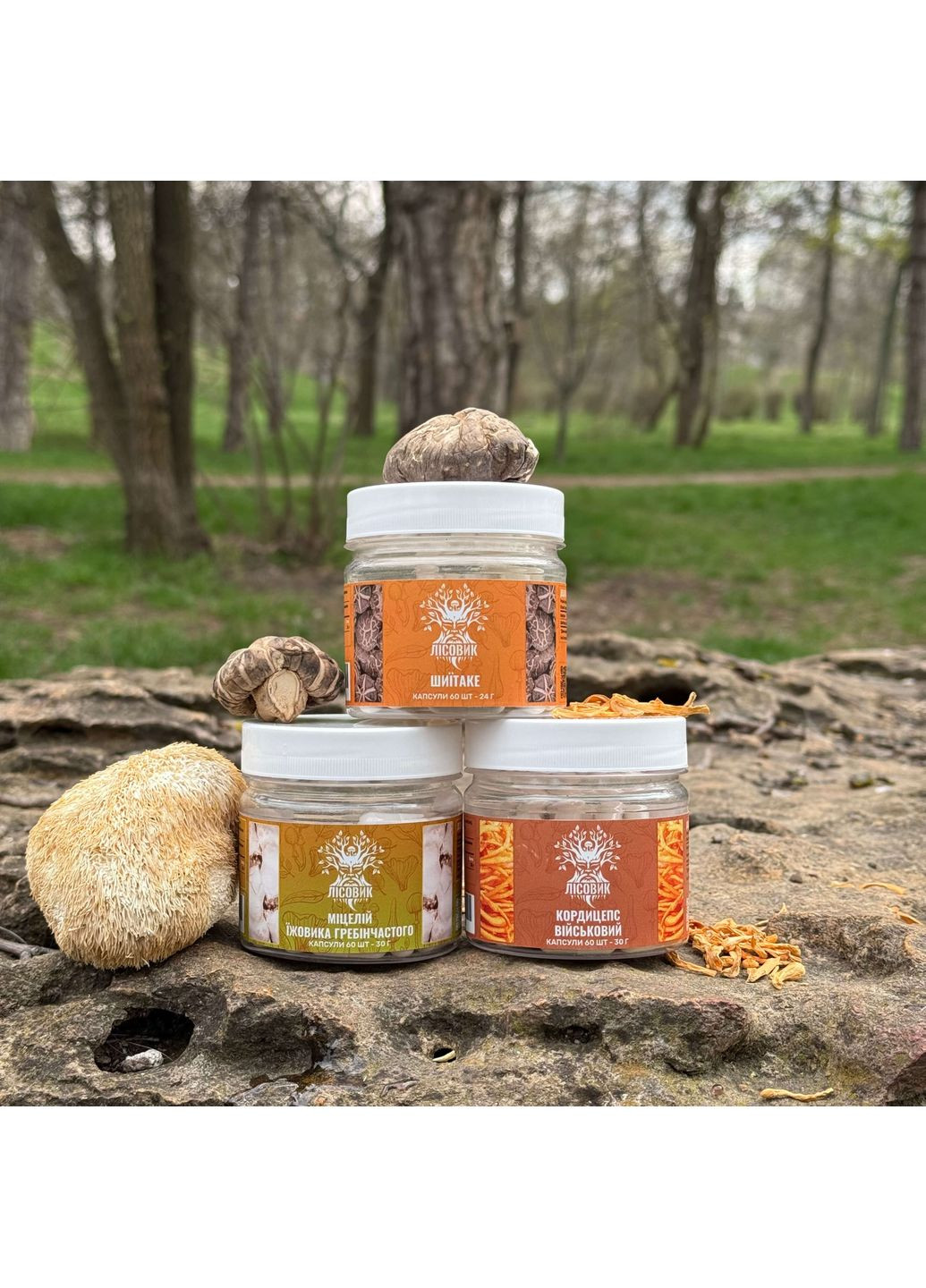 Курс Focus Flow: Концентрация и производительность (1 месяц) Лісовик (334711182)