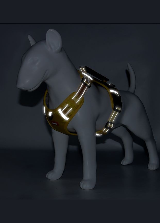 Нейлонова шлейка для собак до 100 кг. Pet Style "DuoMM" Чорна XS No Brand - (323232900)