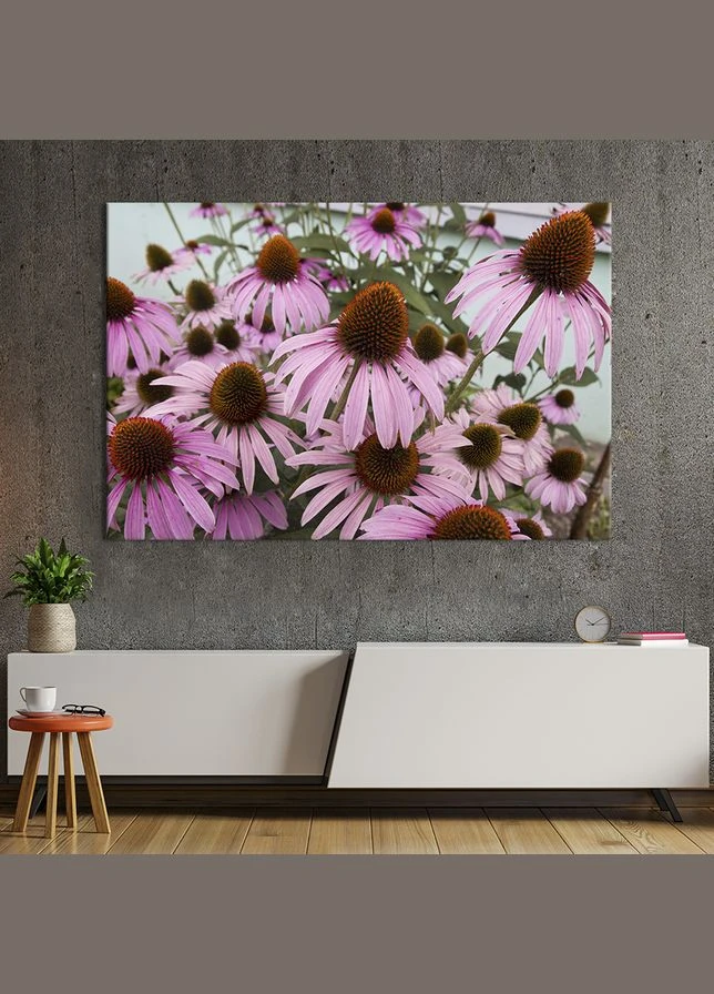 Картина на холсте Садовая эхинацея 51x34 см (898-1) KilArt (380013462)