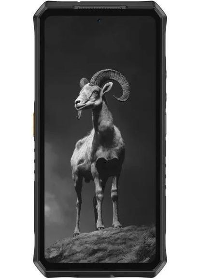 Смартфон Armor 28 Pro 16/512GB Epic Black Ulefone (362212904)