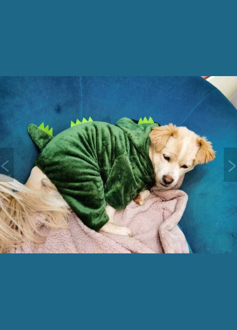 Костюм комбінезон для котів Pet Style "Діно" Зелений 2XL No Brand - (323234760)