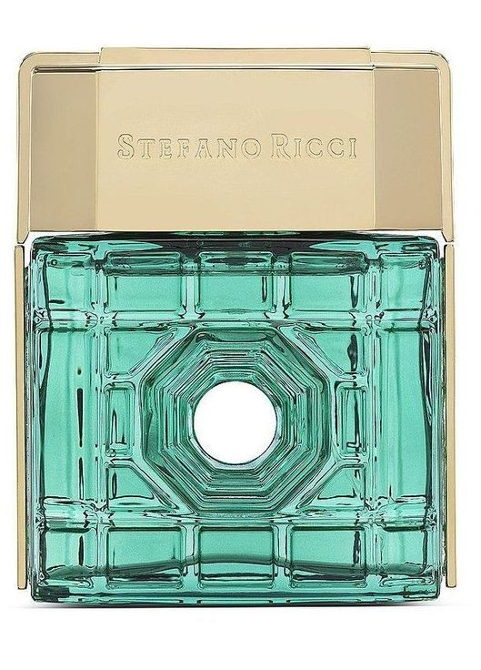 Miami 100 мл Парфюмированная вода Stefano Ricci (366152932)