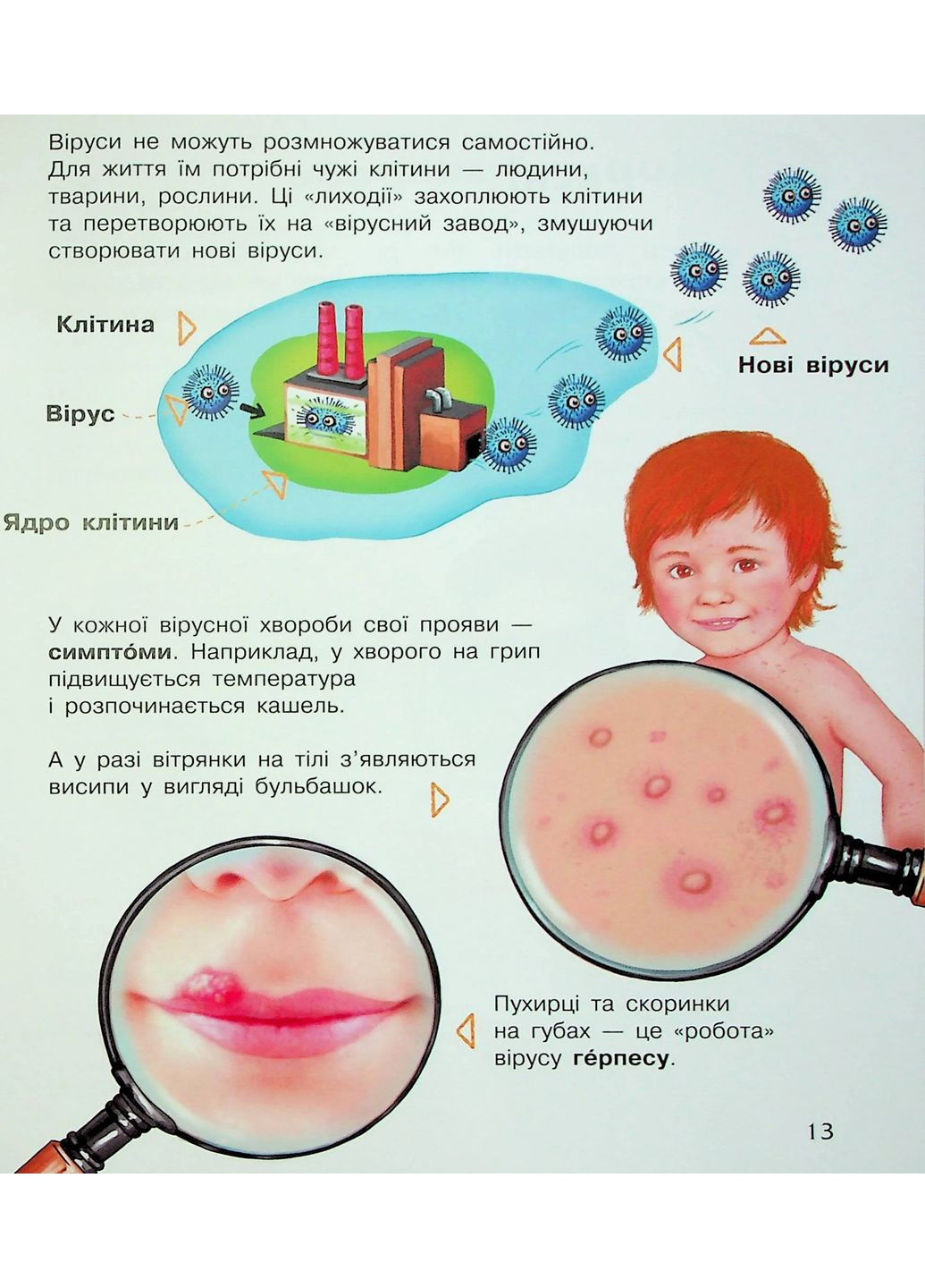 Енциклопедія дошкільника. Мікроби РАНОК (370075279)