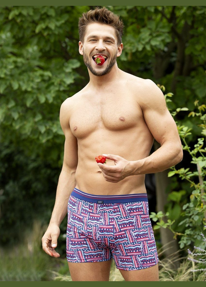 Чоловічі шорти боксери Key (299840391)