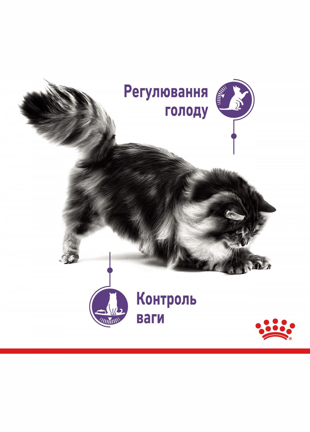 Влажный корм для взрослыx кошек Appetite Control Care кусочки в соусе 85 г (9003579014905) (1466001) (1466001) Royal Canin (279561183)