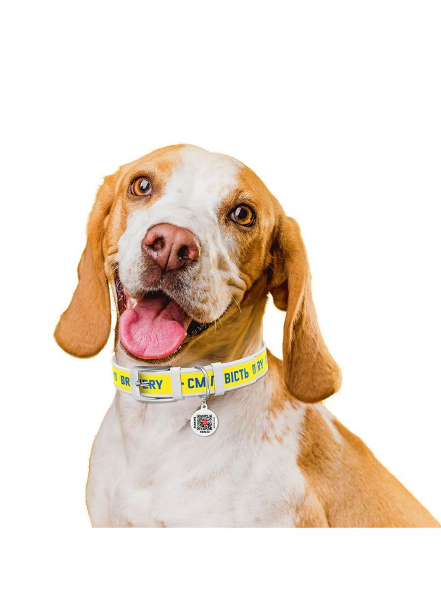 Ошейник для собак кожаный WAUDOG Design с QR паспортом, рисунок "Вкусность",, Ш 35 мм, Дл 46-59 см, No Brand (363199337)