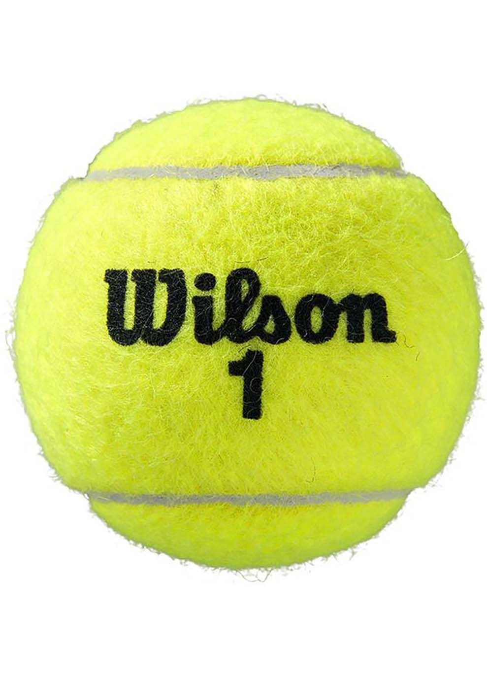 Мячи для тенниса ROLAND GARROS ALL CT 4 BALL Wilson (367596598)