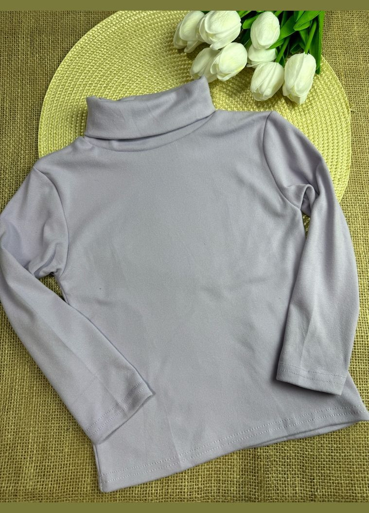 Водолазка-гольф дитячий 10621 No Brand (309151371)