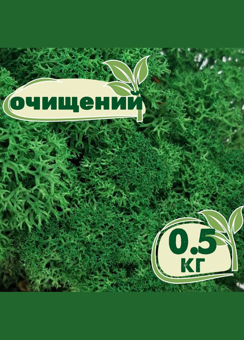 Очищений стабілізований мох ягель Зелений трав'яний темний 0,5 кг Nordic moss (276401087)