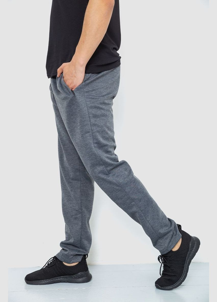 Серые спортивные демисезонные брюки Ager