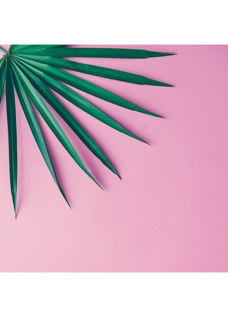 Квадратний фотофон з рожевим тлом і зеленим тропічним листям, вініловий 60x60 см, №550125 PhotoVinyl (354372080)