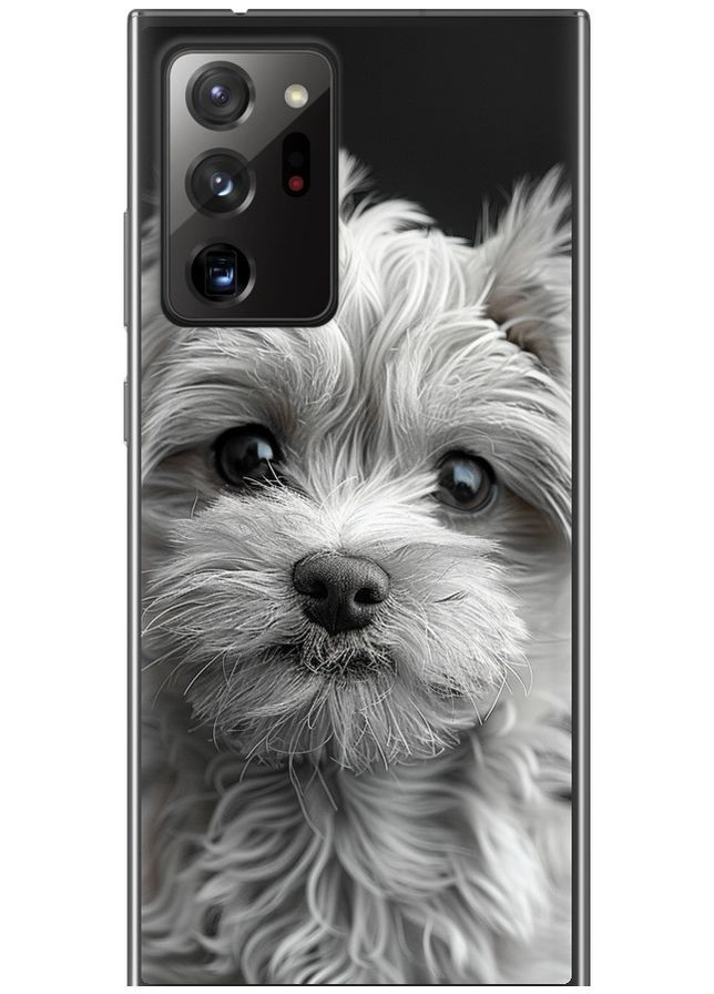 Силіконовий чохол 'Мальтипу на чорному фоні' для Endorphone Samsung Galaxy Note 20 Ultra (297658107)