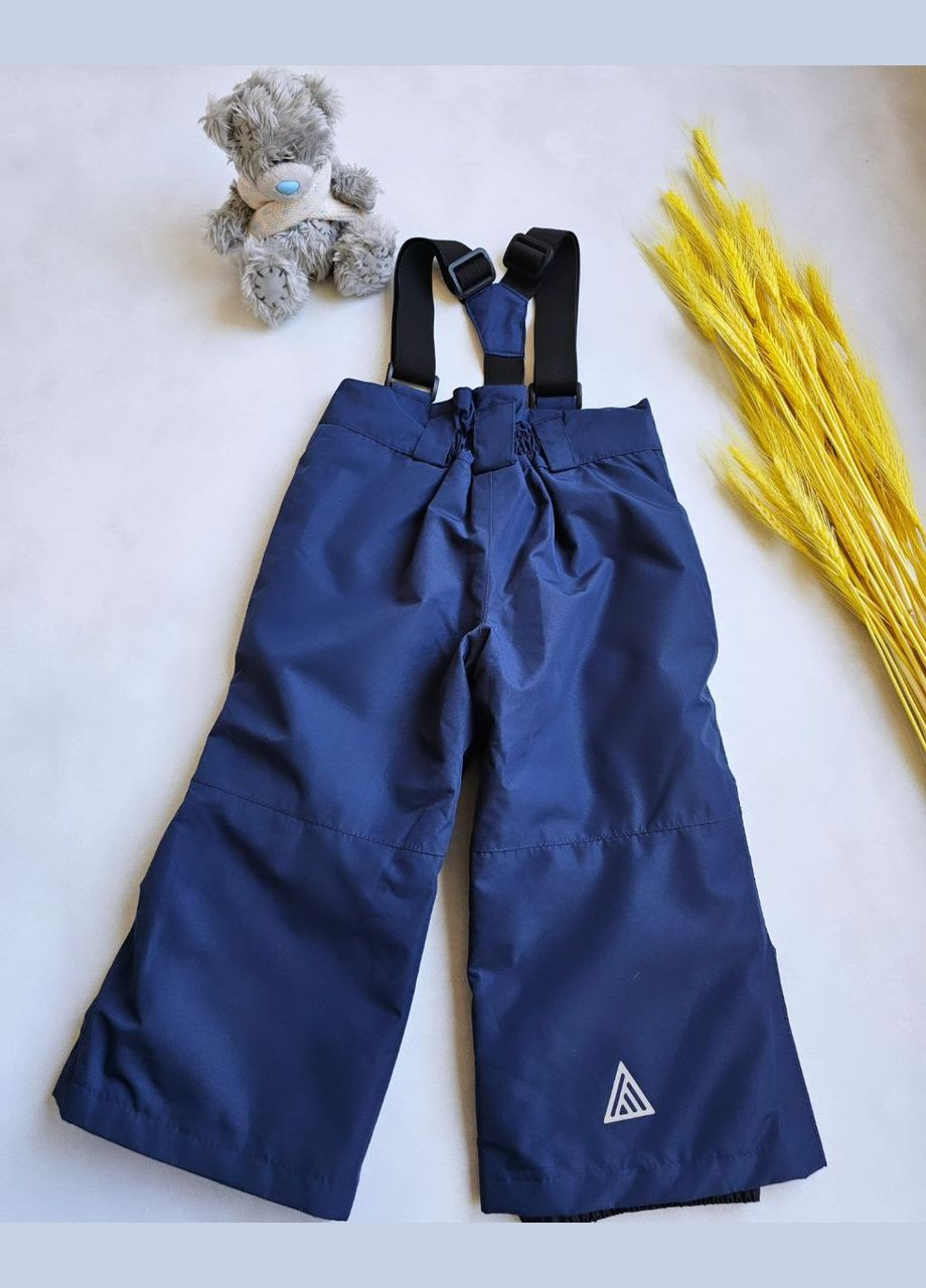 Лыжный костюм термо ❄️Комбинезон зимний детский❄️Горнолыжная одежда куртка и брюки Lupilu Куртка та штани (304766623)