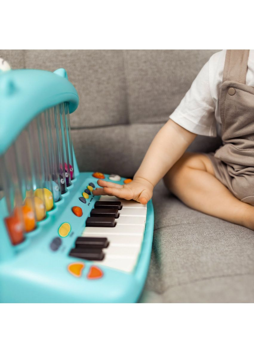 Музична іграшка Гіпопофон (LB1650Z) Battat (342752336)