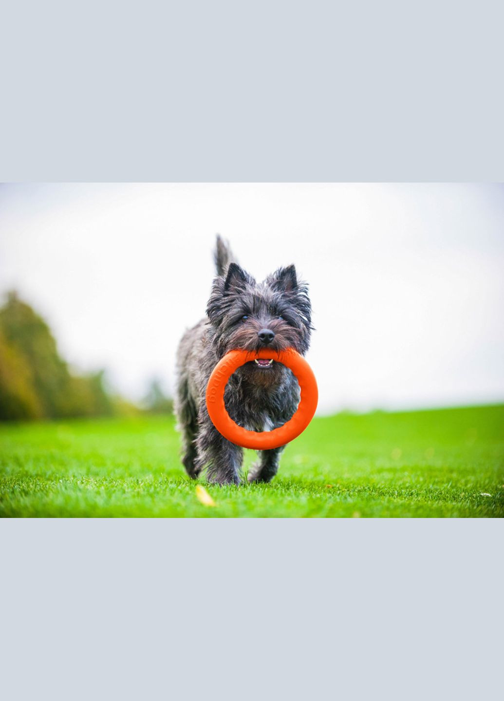 Кільце для апортування 30 д-28 см Жовтогаряче PitchDog (329994223)