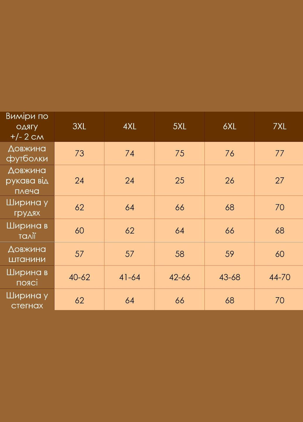 Чоловічий костюм футболка + шорти Батал No Brand (342718222)