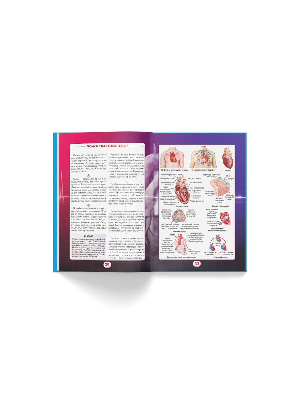 Вы должны это знать. Тело человека Crystal Book (317745232)