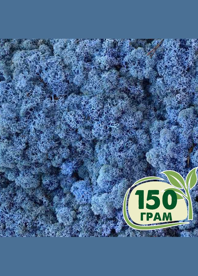 Стабілізований мох ягель Лавандовий 150 грам Nordic moss (276401108)