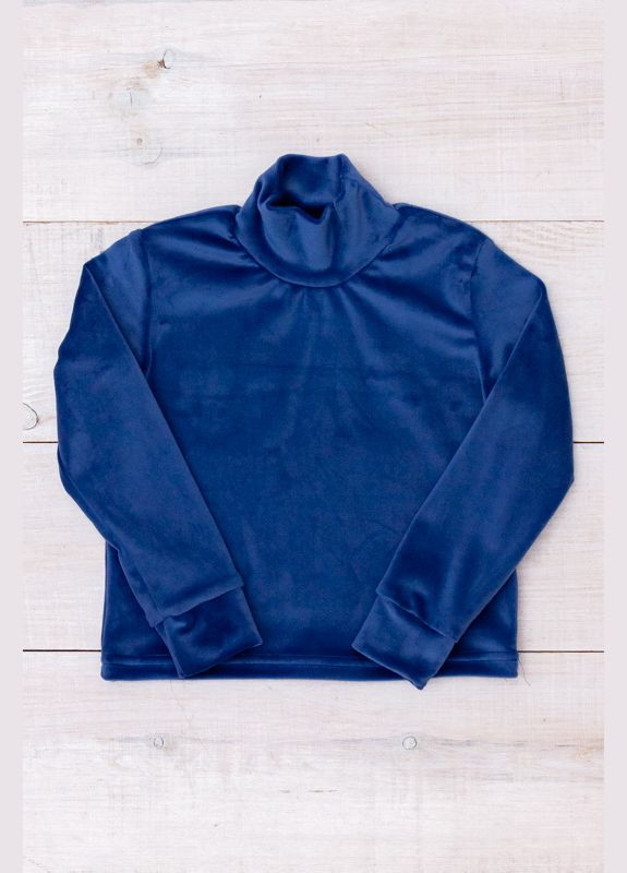 Водолазка детская (p-13244) Носи своє (363043824)