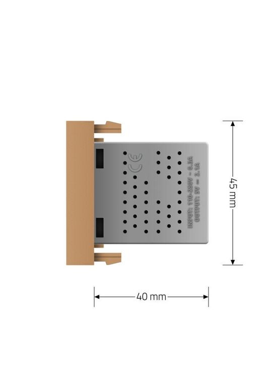 Подвійна розетка USB золота, з блоком живлення 2×USB-A 5V/2.1A, 2×10Вт, модуль (VL-FCUA-2AP) Livolo (370984984)