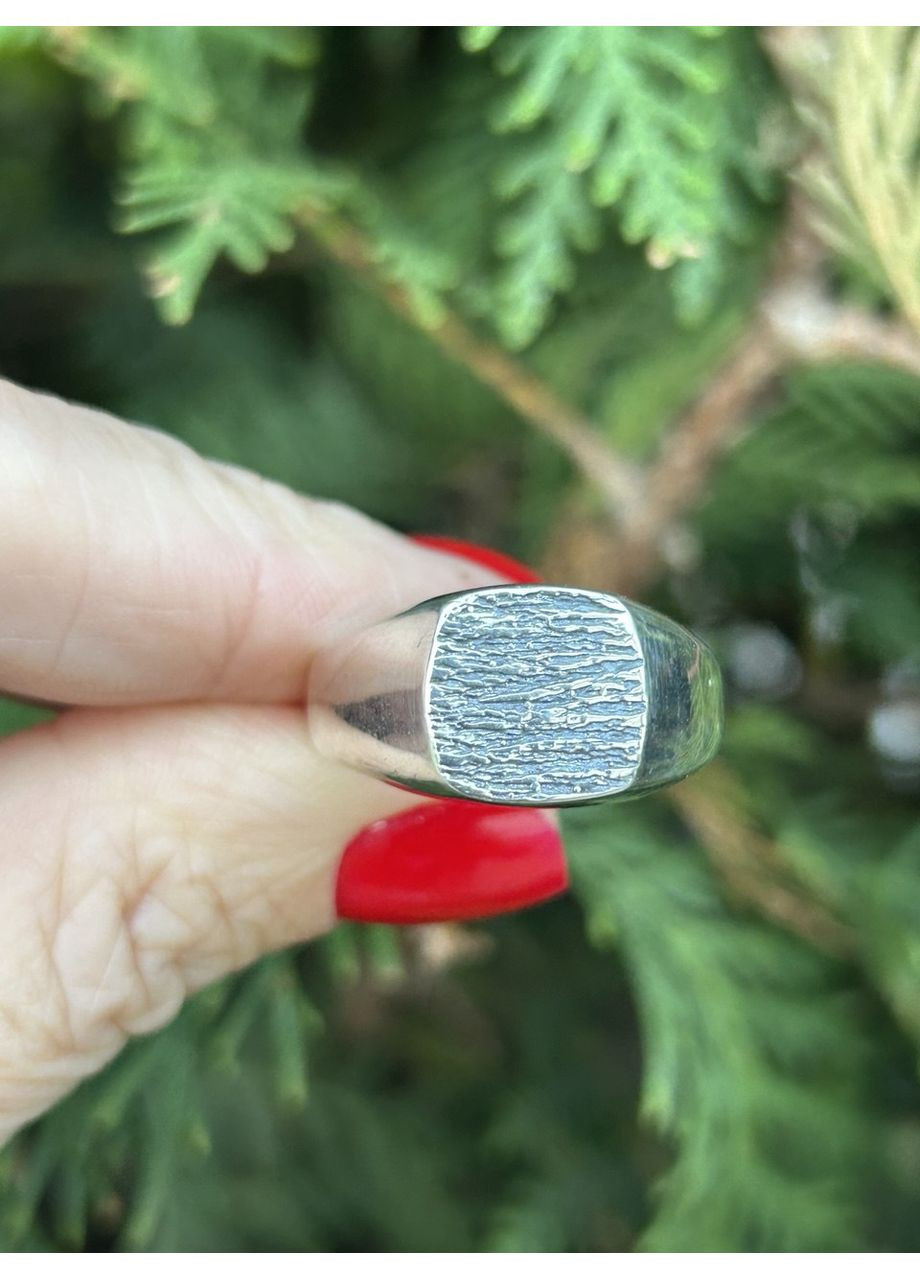 Печать мужская серебряная 891, размер No Brand (361225121)