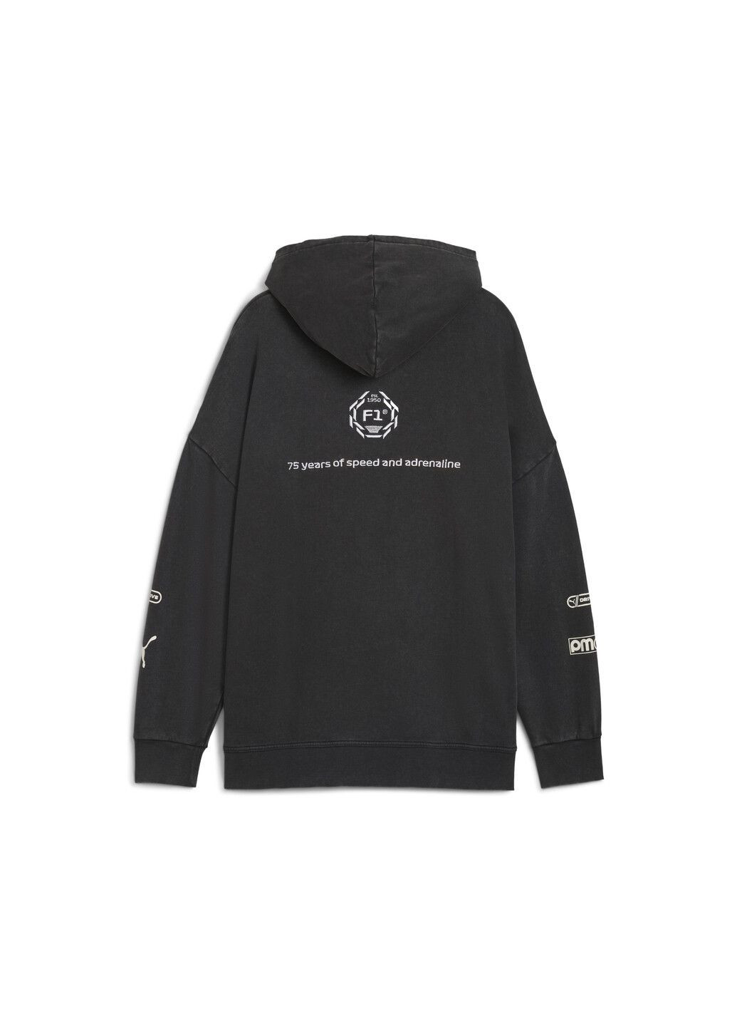 Худи F1® Hoodie Men Puma (333930281)