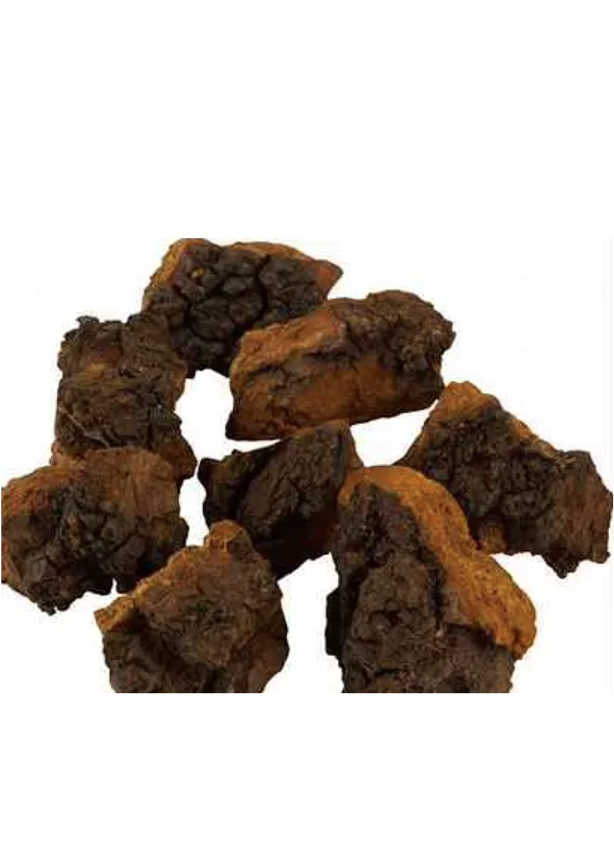 100 г чага/березовий гриб сушений кусочками - свіжий урожай100 г чага/березовий гриб сушений кусочками - свіжий урожай No Brand (329901520)