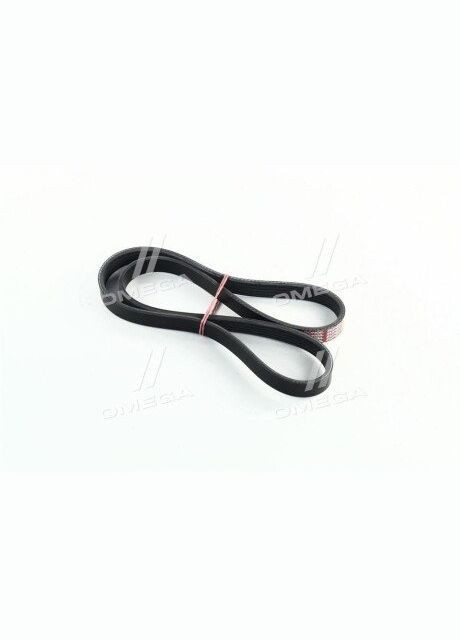 Ремень поликлин. 5PK1010 Daewoo Lanos 1.6 16v (пр-во) 5PK1010 C.I.U Dongil (366183847)