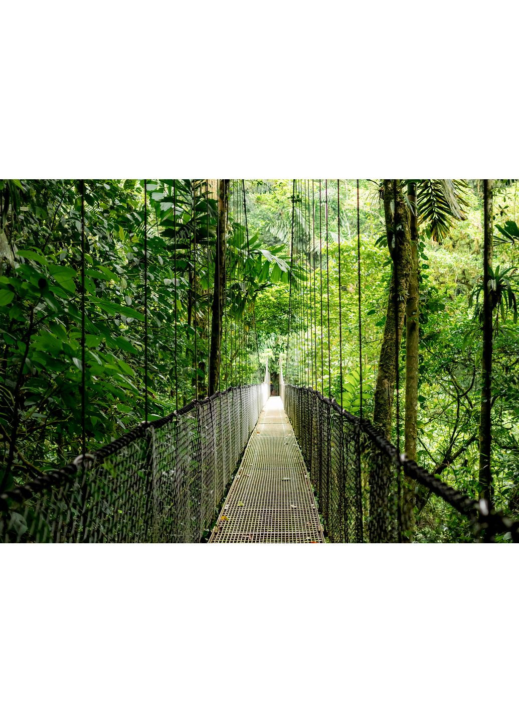 Ноутбук B9ZJ8ET Probook 4-G1a 16" WUXGA IPS, AMD R5-230, 16GB, F512GB, UMA, Win11P, HP (361965885)