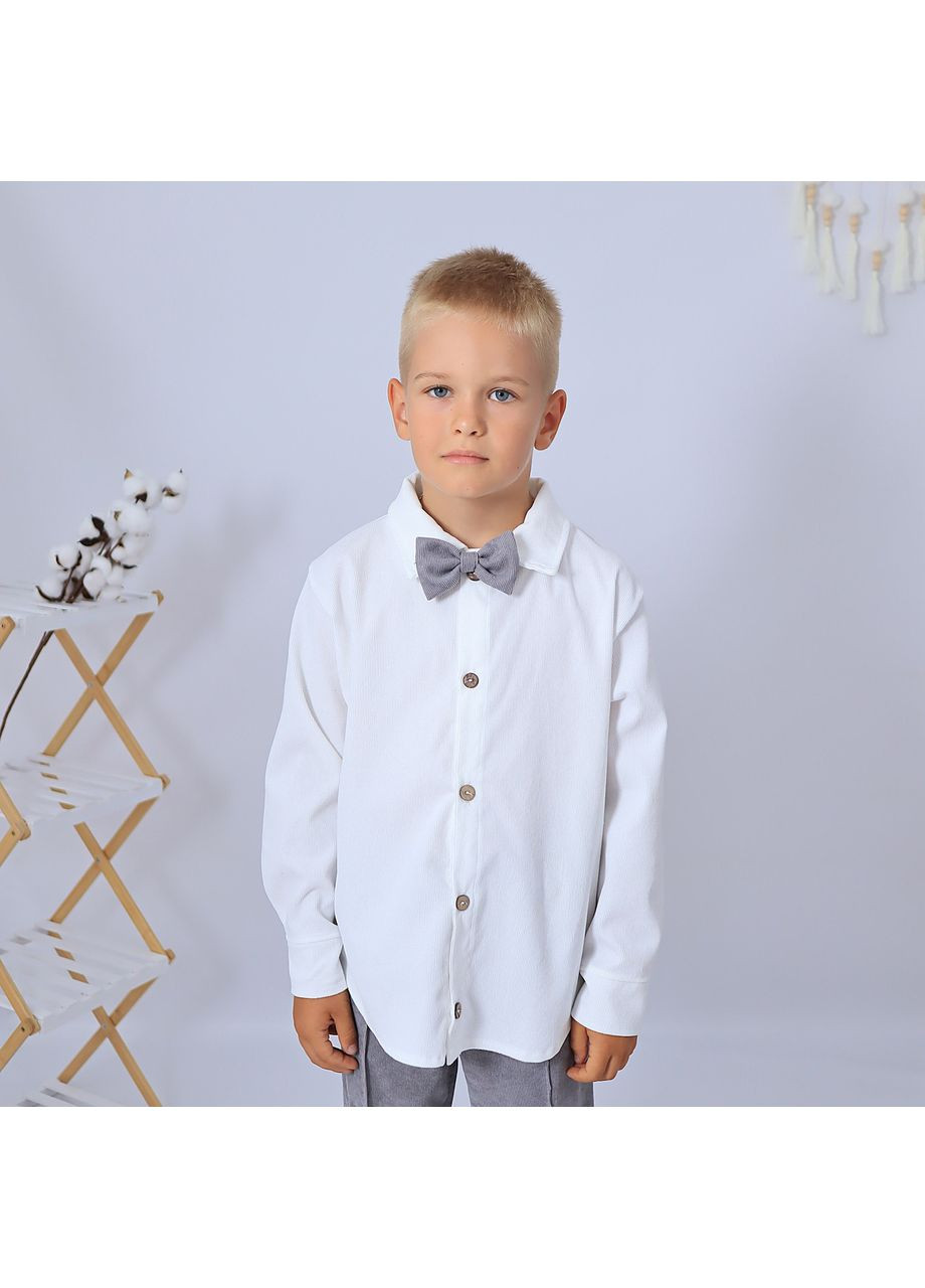 Комбінований демісезонний святковий вельветовий костюм для хлопчика/костюм до школи сорочка біла + штани сірі + метелик з сорочкою, брючний No Brand