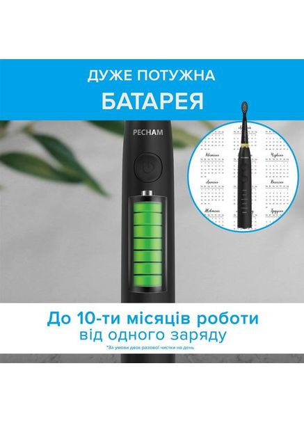 Электрическая зубная щетка Black Travel PC-085 (4822201550025) PECHAM (354696867)