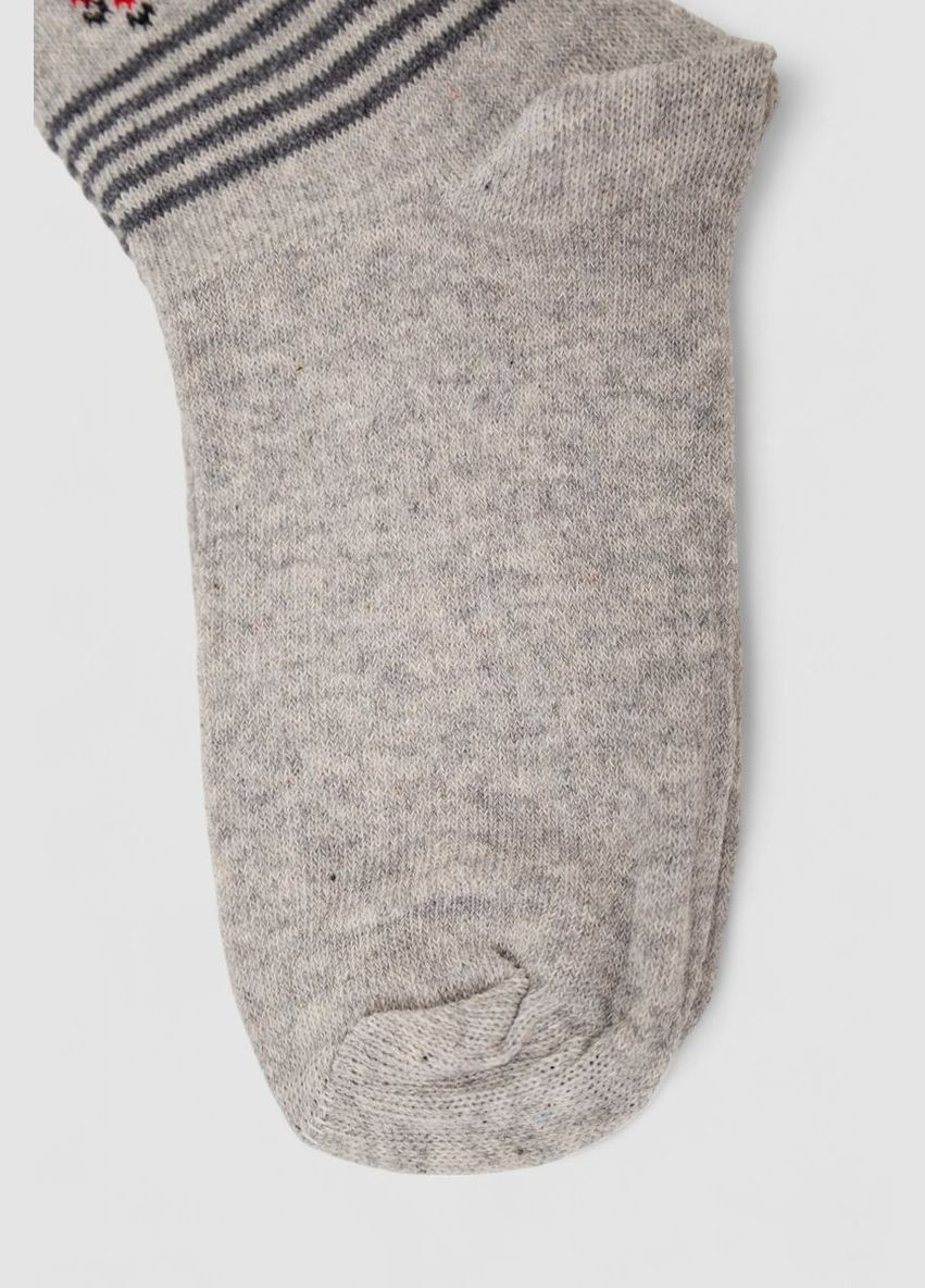 Сірі шкарпетки жіночі з принтом, колір бежевий, 238r336-4 Bulut (361030838)