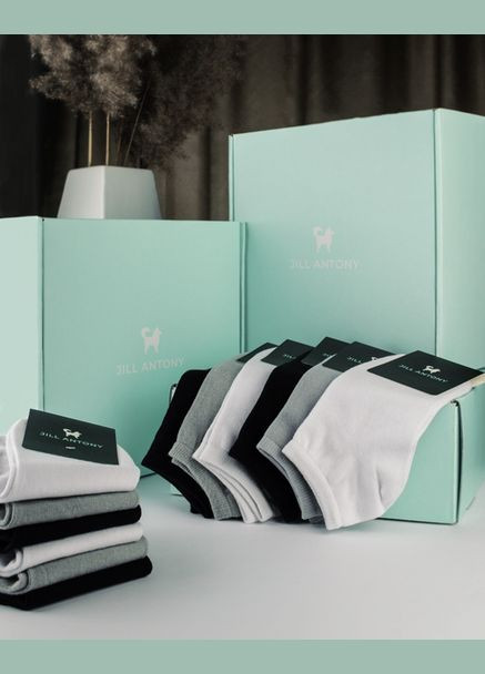 Белые набор носков 6 пар короткие летние бесшовные дышащие качественные organic cotton 39-41 woman's JILL ANTONY (314997385)